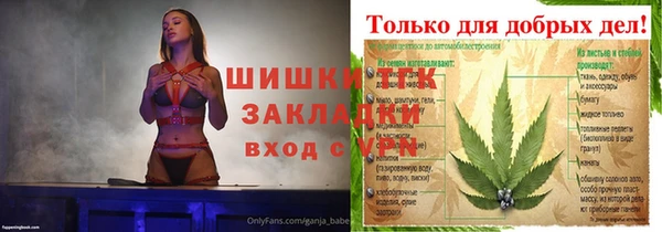 винт Бородино