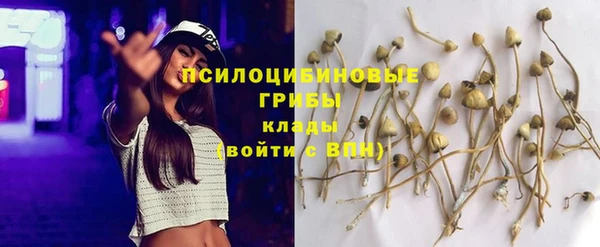 таблы Бронницы