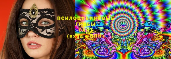 твердый Богородицк