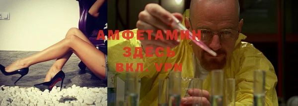 сатива Богданович