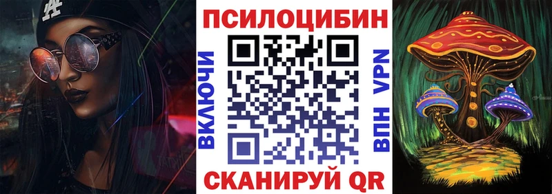 Псилоцибиновые грибы мицелий  Тверь 