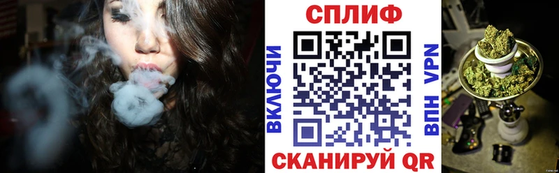 где можно купить наркотик  Тверь  Канабис план 