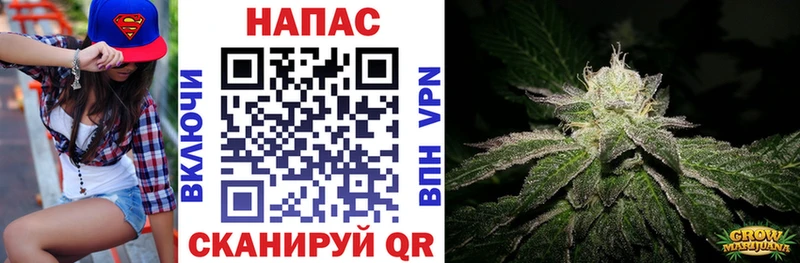 Конопля индика Тверь